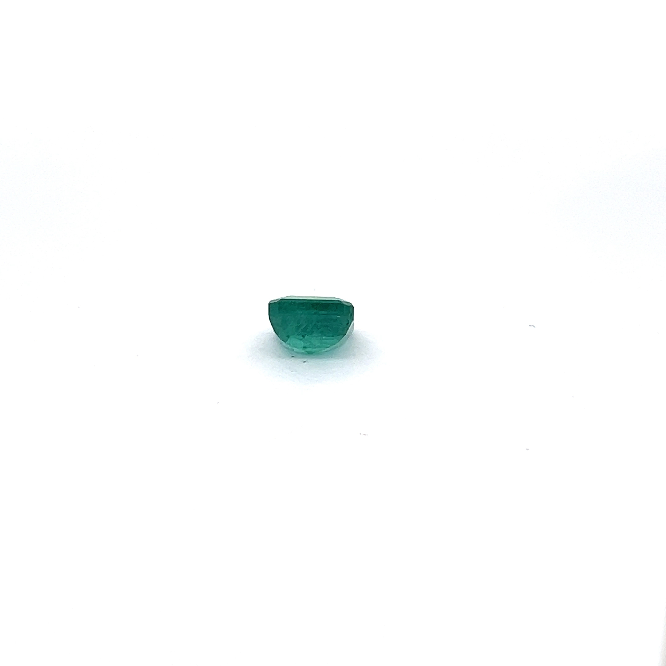 EM190_qn8nudhougo_2025-04-24-15-45-19.jpg