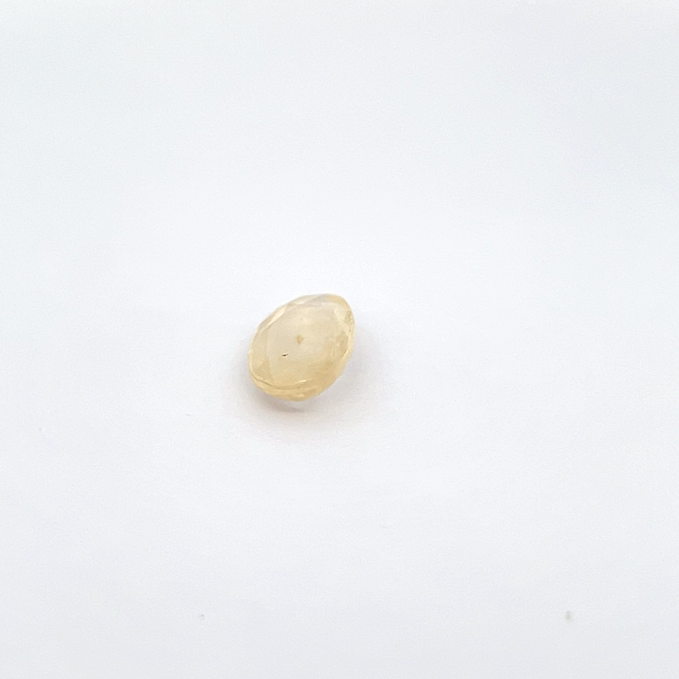 YS733_nchj6g3qwf_2025-03-10-13-33-37.jpg